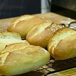 selbstgebackene Brötchen