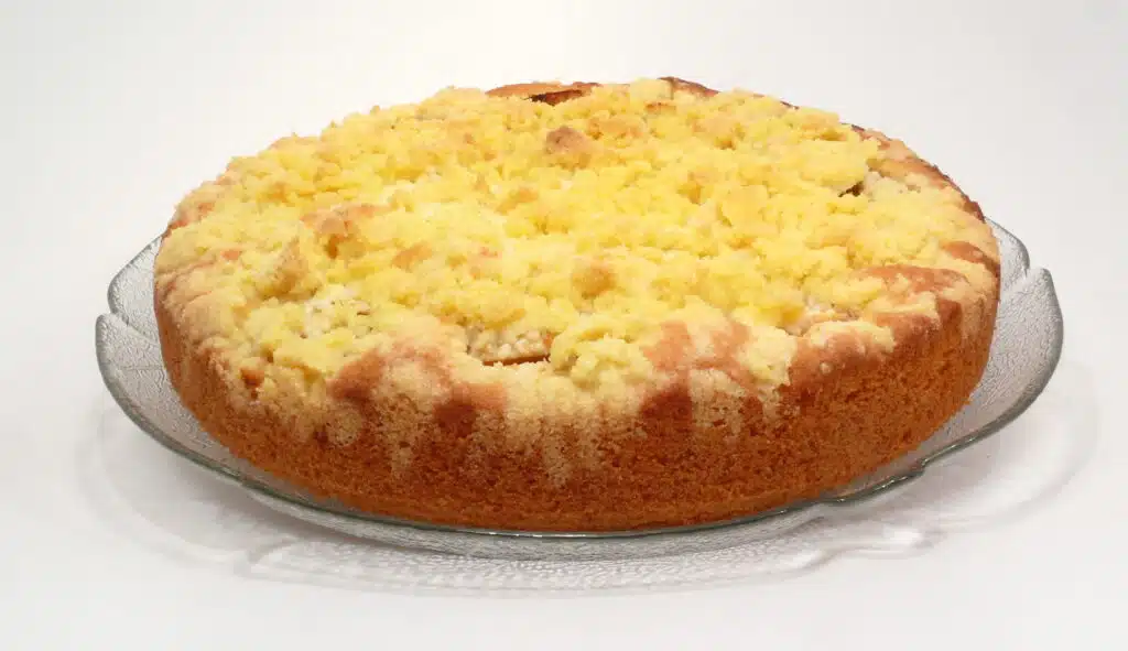 schneller einfacher Apfelkuchen